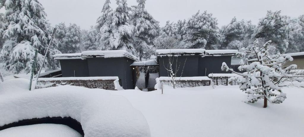 Paradise on the horizon في El-Rom: منزل مغطى بالثلوج مع وجود أشجار في الخلفية