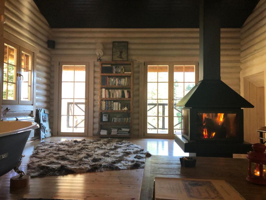 a living room with a fireplace and a book shelf at Shelter in Kalavrita