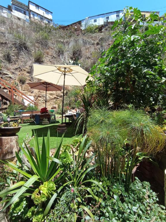 Fotografie z fotogalerie ubytování Selva Hospedaje v destinaci Valparaíso