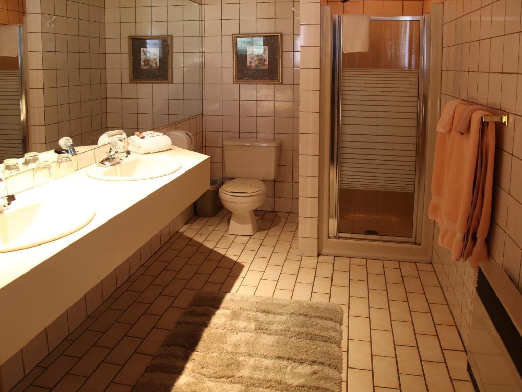 Koupelna v ubytování Auberge Godard
