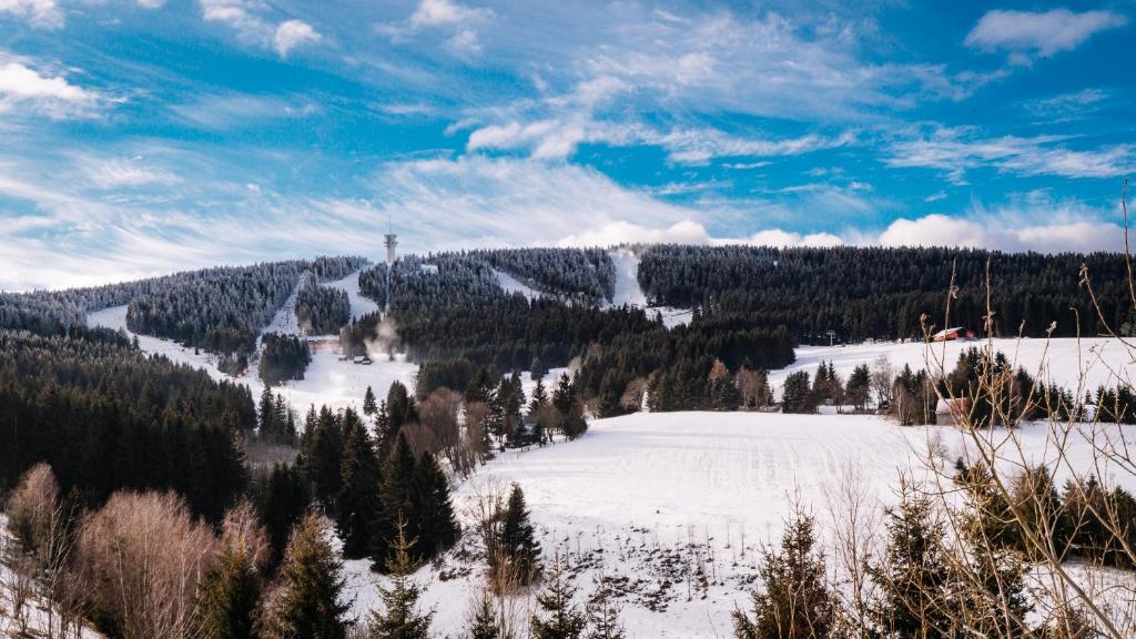 Příroda nedaleko apartmánu
