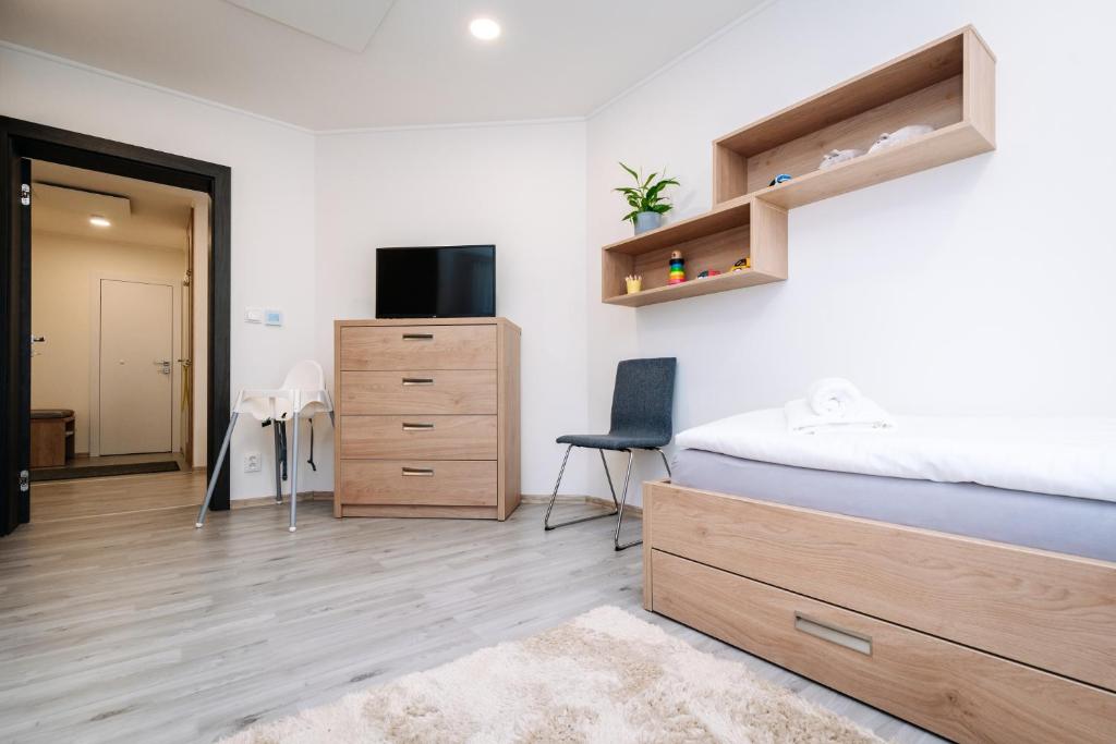 TV a/nebo společenská místnost v ubytování Apartment Hugo Klínovec