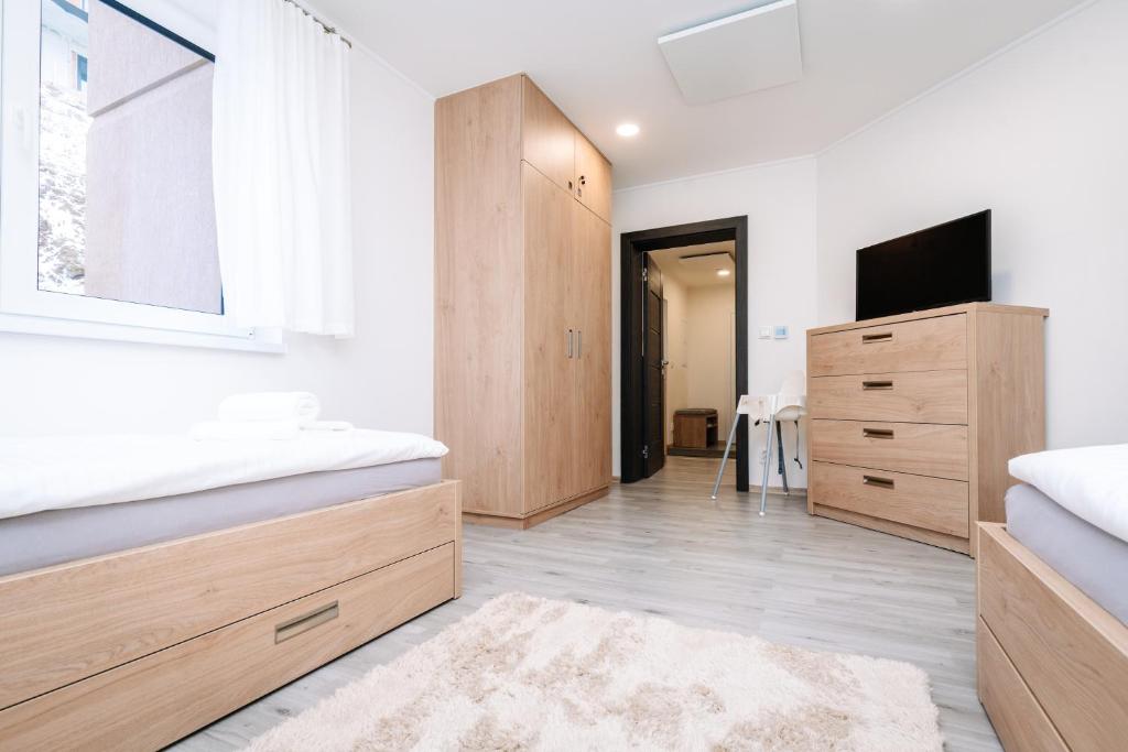 TV a/nebo společenská místnost v ubytování Apartment Hugo Klínovec