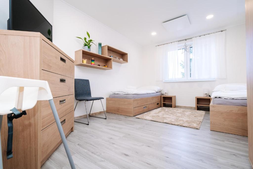 TV a/nebo společenská místnost v ubytování Apartment Hugo Klínovec