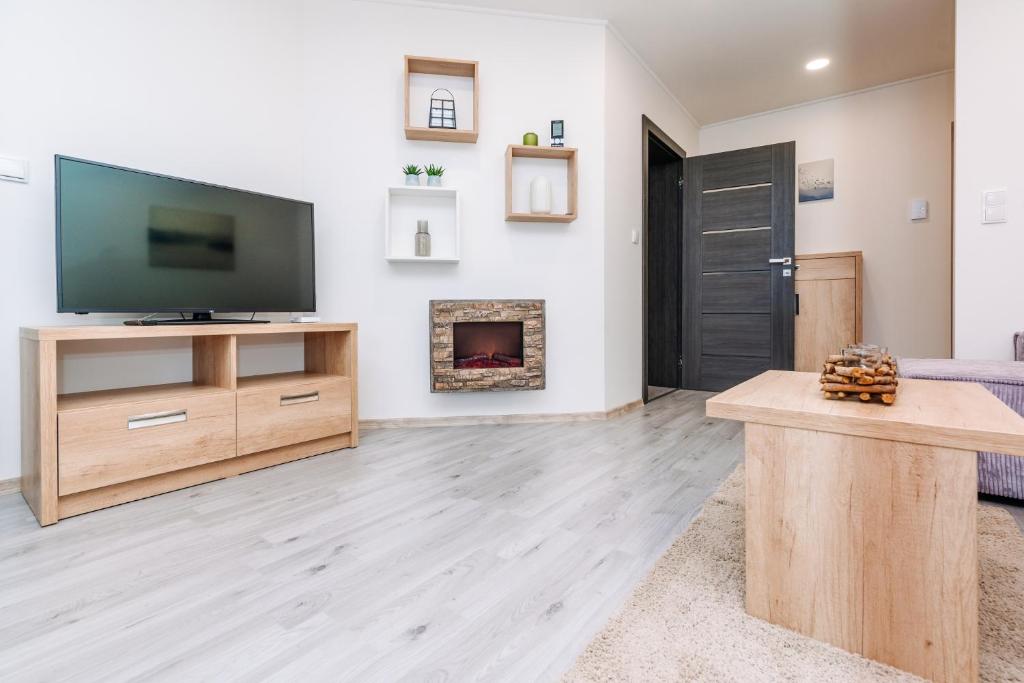 TV a/nebo společenská místnost v ubytování Apartment Hugo Klínovec