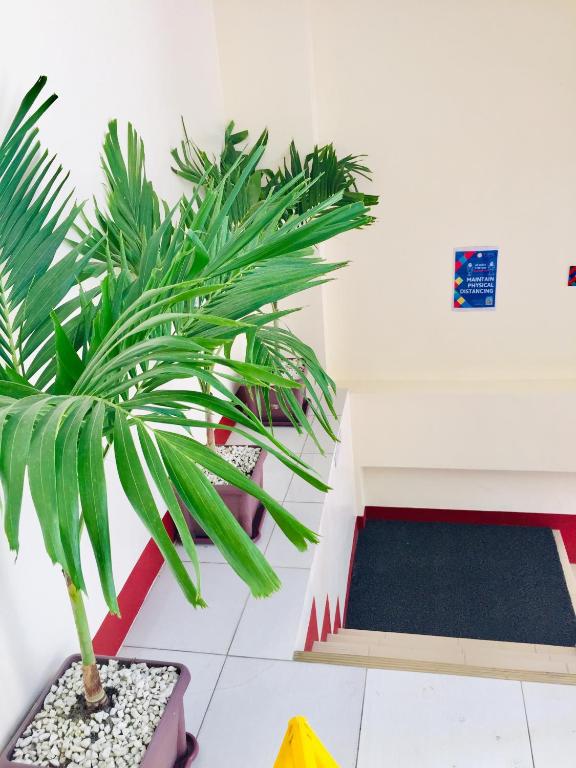Fotografie z fotogalerie ubytování JPrime Apartelle v destinaci Tuguegarao City