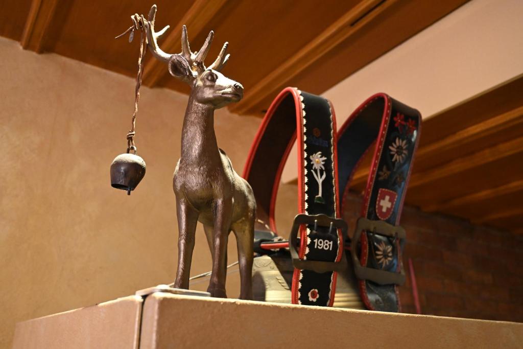 Bern Backpackers Hotel Glocke - Resim 25