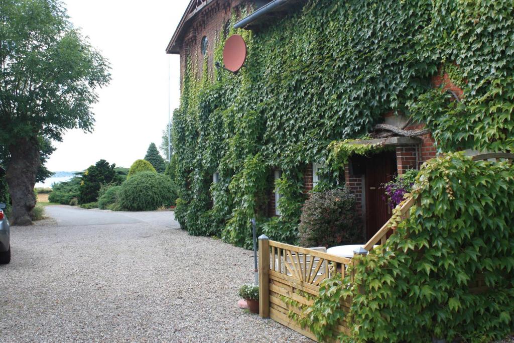 an ivy covered building with a wooden bench next to it at Volker Callsen Ferienwohnungen in Gelting