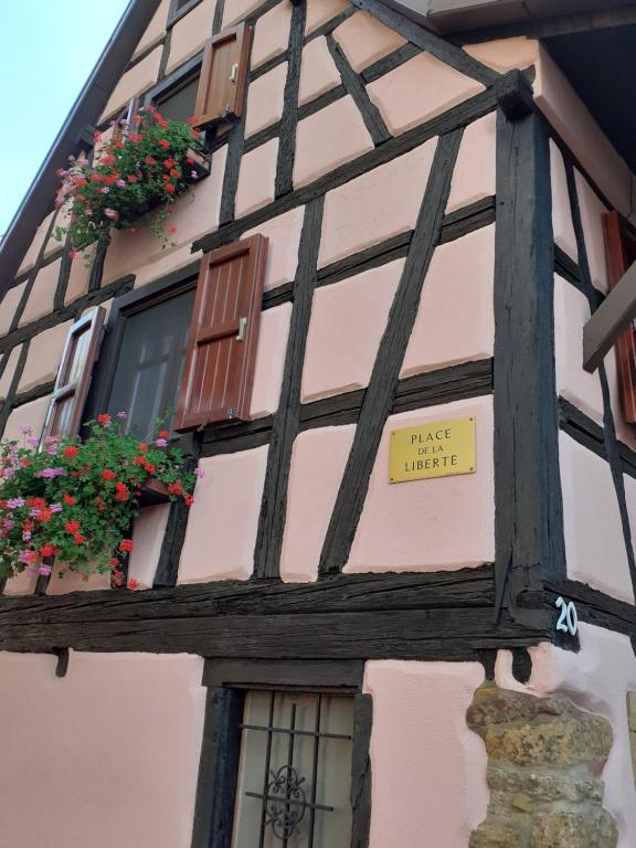 Idéal séjour Alsace ! proche Colmar et sur la route des Vins, Gîte de la Liberté – photo 13