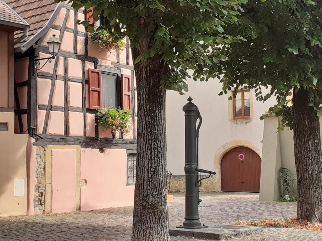 Idéal séjour Alsace ! proche Colmar et sur la route des Vins, Gîte de la Liberté – photo 16