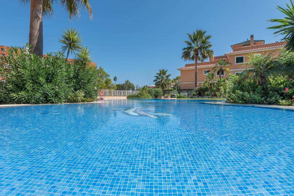 a swimming pool in a resort with palm trees at Apartment Es Mirador 2 in Calas de Mallorca