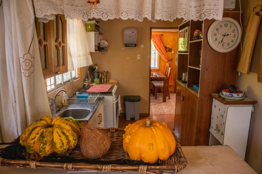 two pumpkins sitting on a table in a kitchen at La Huerta in Vicuña