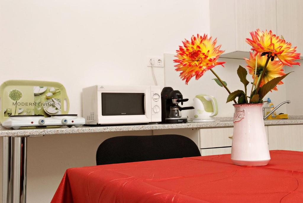 Televízia a/alebo spoločenská miestnosť v ubytovaní Liszt Apartman