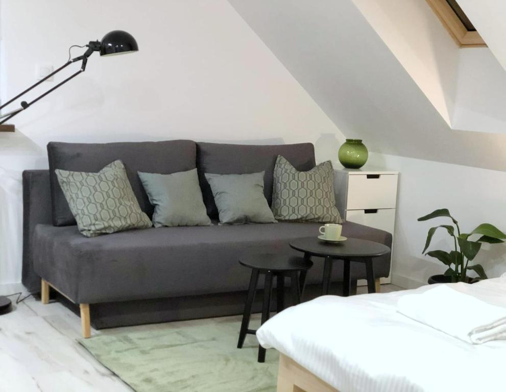 Apartament Wrzosowa 25 - Studio Lit King-Size Avec Canapé-Lit