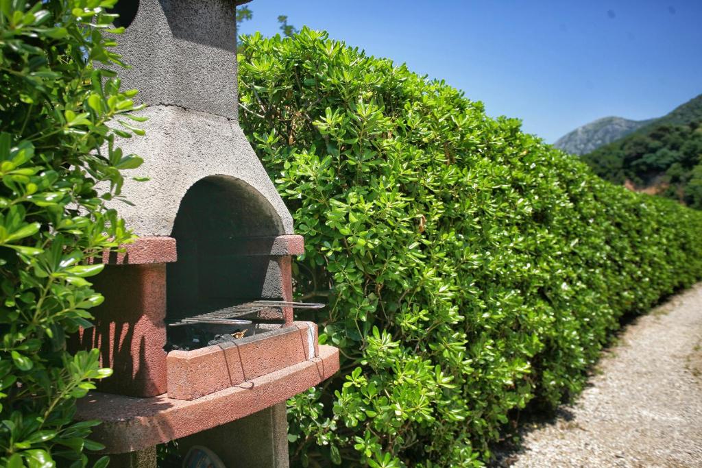 Apartments Vujicic - 16