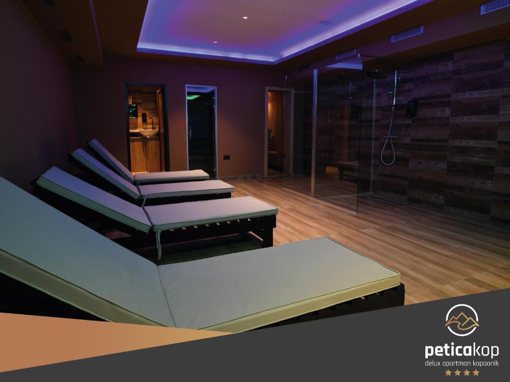 Lázně a/nebo wellness v ubytování Apartman PETICA KOP A8 Kopaonik