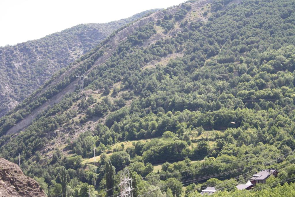 Příroda nedaleko apartmánu