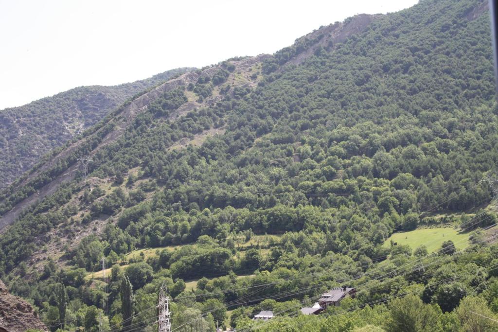 Příroda nedaleko apartmánu