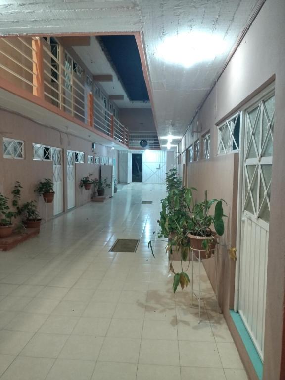 Imagen de la galería de Hostal Eclipse Oaxaca, en Oaxaca City