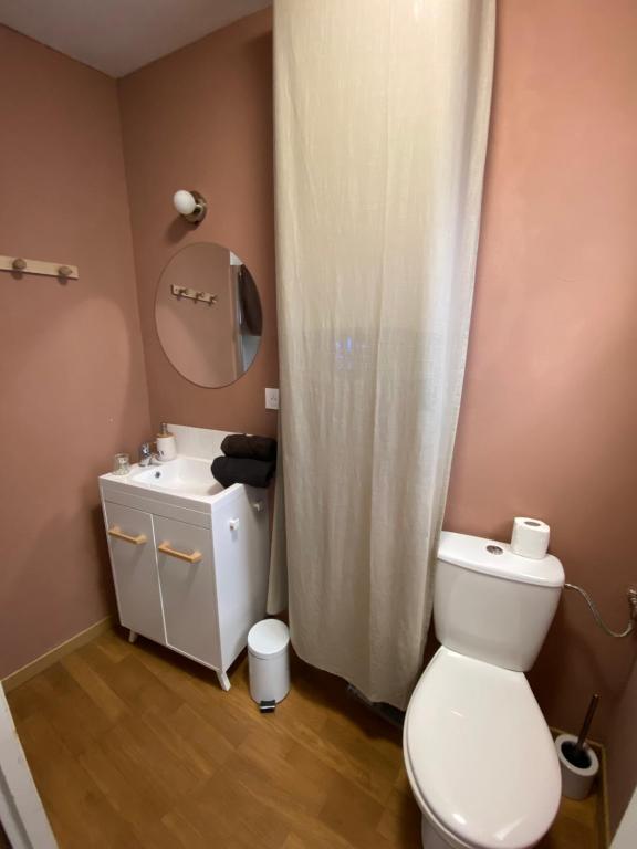 een badkamer met een toilet, een wastafel en een spiegel bij N°2 L'épicéa - Appart Hôtel La Maison Sévigné in Béthune