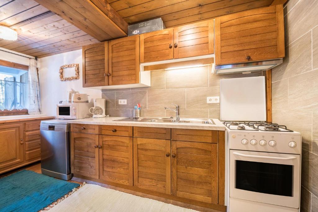 A kitchen or kitchenette at Hochfügenblick-ski- und Wanderhütte