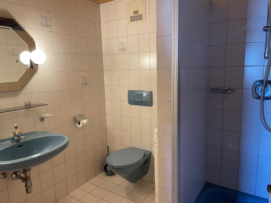 a bathroom with a toilet and a sink and a shower at Appartement Oberlacken in Sankt Johann in Tirol