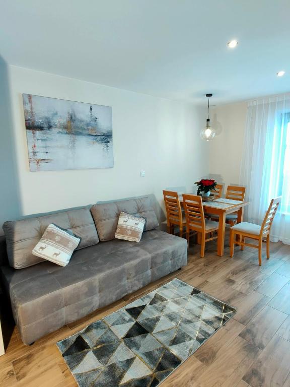PRZY TERMACH apartamenty, pokoje - podgrzewany basen, hydromasaż i tylko 70m Termy - アパートメント - 1階