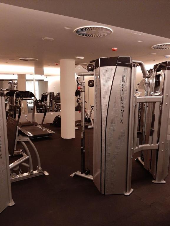 Fitness centrum a/nebo fitness zařízení v ubytování Apolon Spa