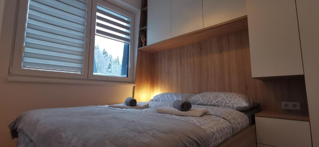 um quarto com duas pessoas deitadas numa cama com uma janela em Bjelašnica Vukov Vis 09 - apartment with a bedroom em Bjelašnica