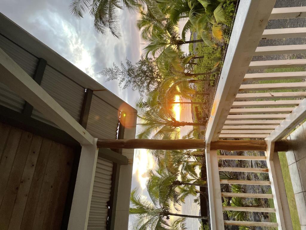 a palm tree is standing next to a house at Hale Honu home in Keaau