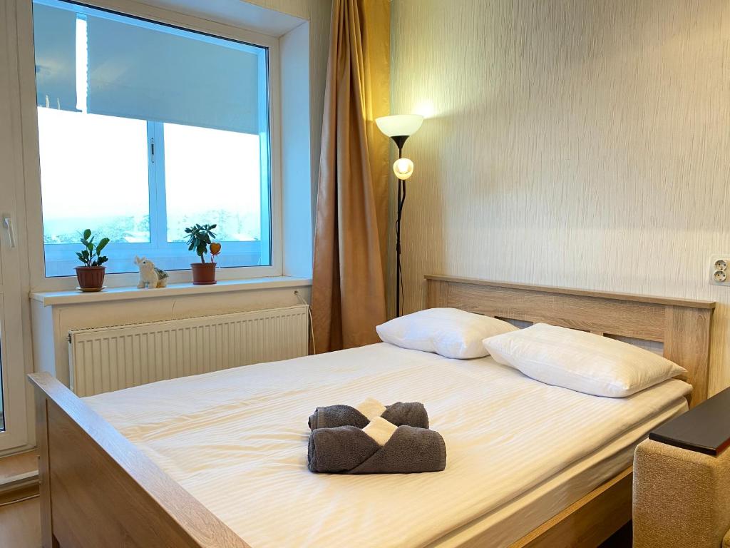 Апартаменты у Исторического парка Бастион - отзывы и видео