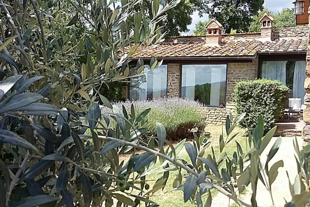 Zahrada ubytování Villa Pianelli