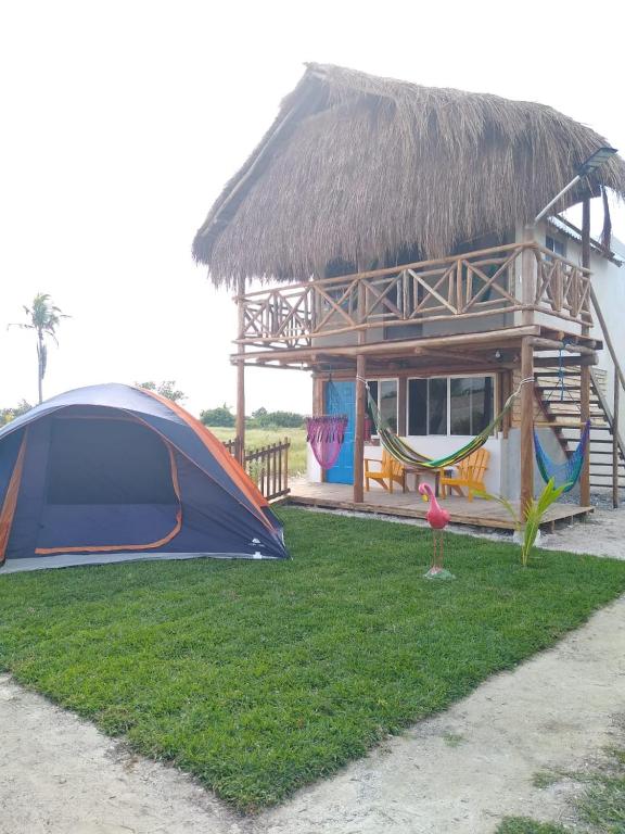 Zahrada ubytování Camping y Cabañas Chelem
