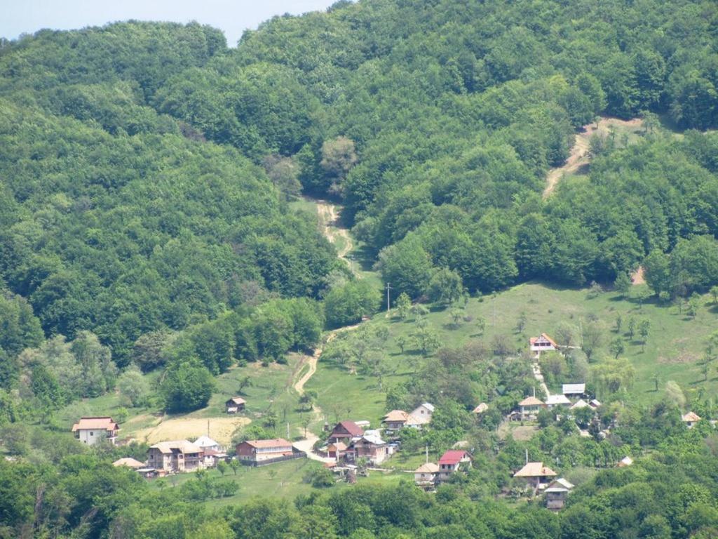 Příroda nedaleko hotelu
