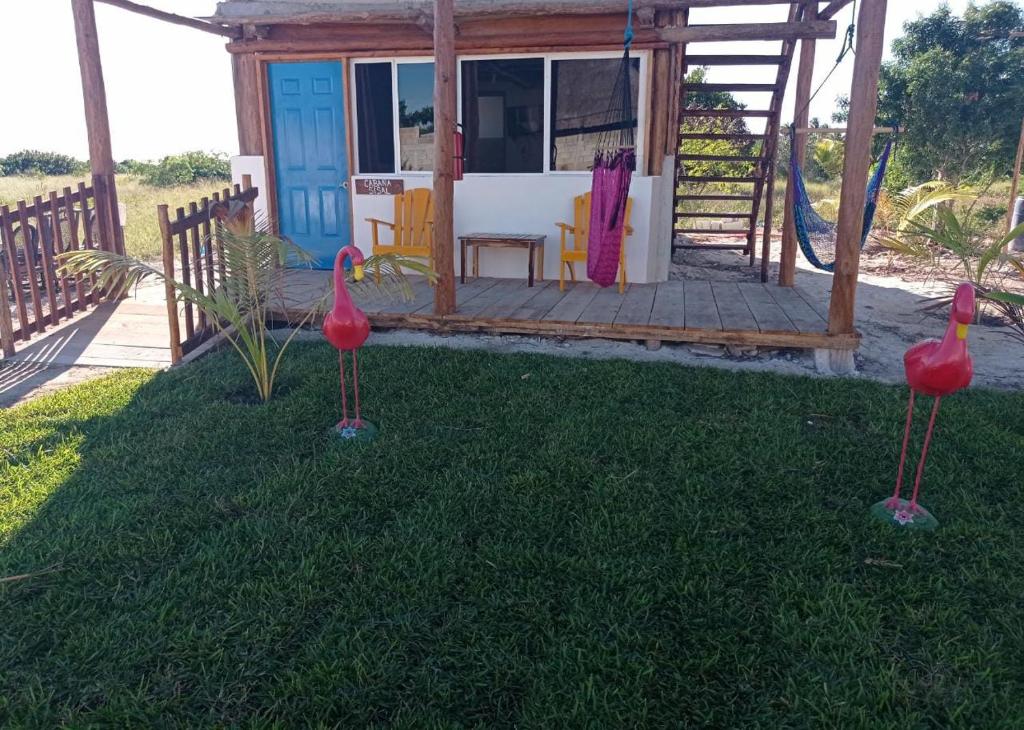Zahrada ubytování Camping y Cabañas Chelem