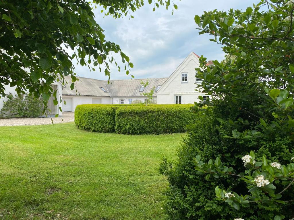 a white house with a yard and bushes at Brunbjerg Apartments in Billund