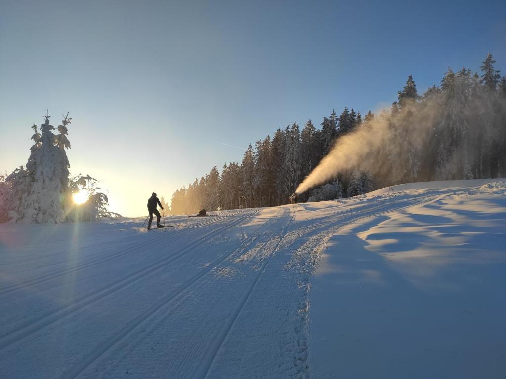 Lipno Riviéra - Myši v botě v zimě