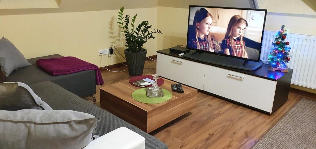 TV a/nebo společenská místnost v ubytování Rudolf Vendégház