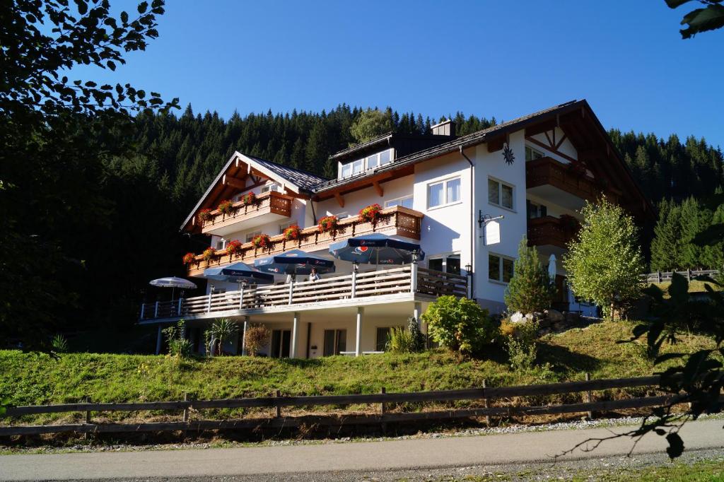Příroda nedaleko hotelu