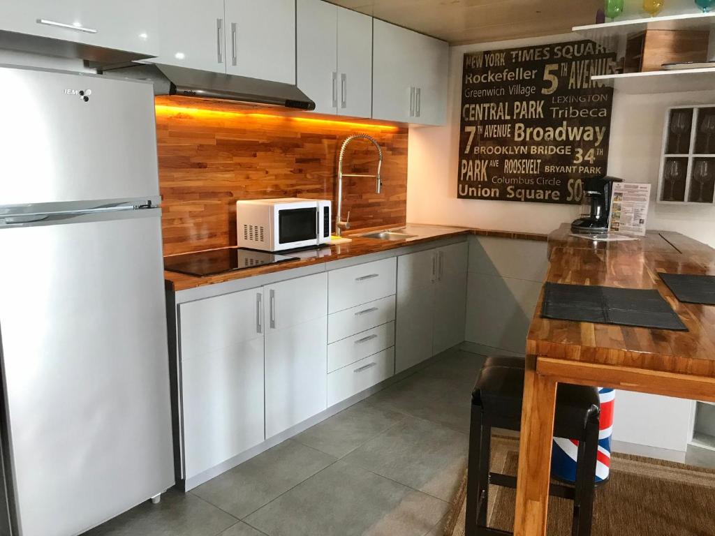 Kuchyň nebo kuchyňský kout v ubytování Caribbean apartment