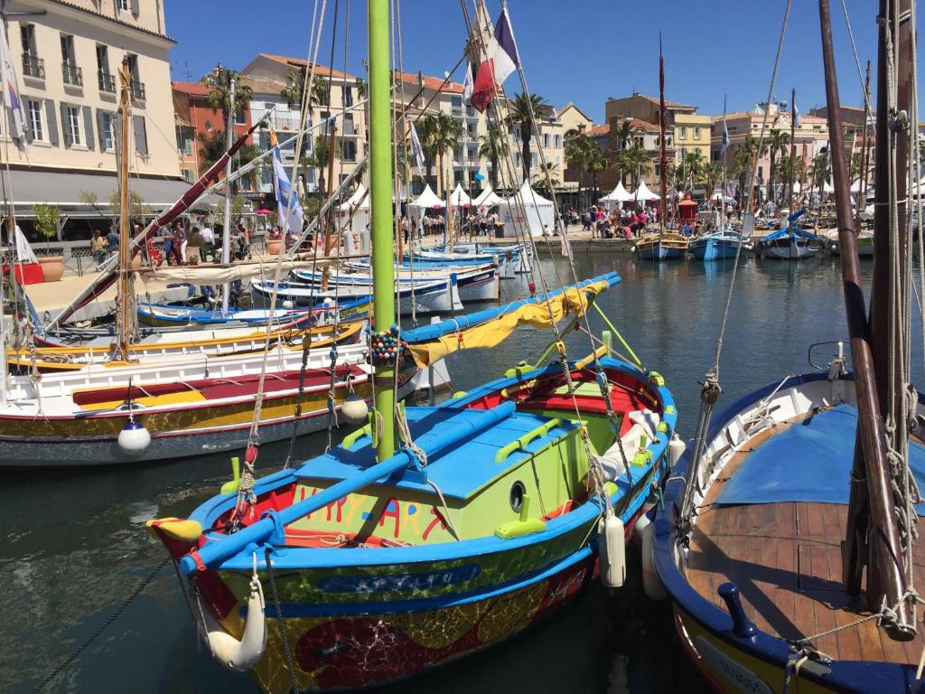 a bunch of boats are docked in a harbor at T3 Saint Cyr sur Mer 83270 in Saint-Cyr-sur-Mer