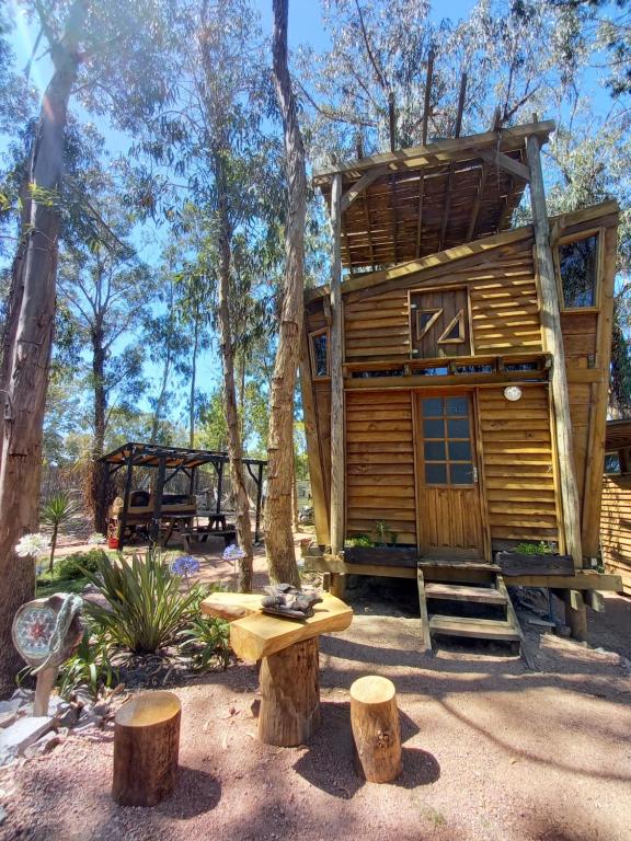 una casa en el bosque con un banco y árboles en Flor de Vida Geocabañas - Tiny, en La Esmeralda