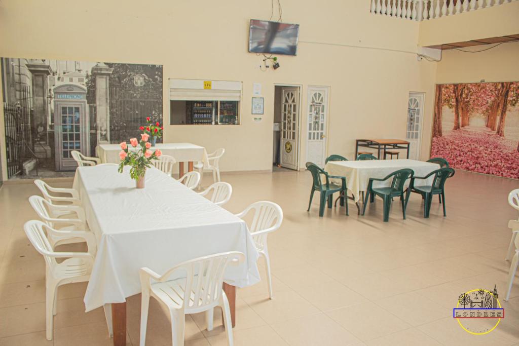 TV a/nebo společenská místnost v ubytování Hotel Finca Londres
