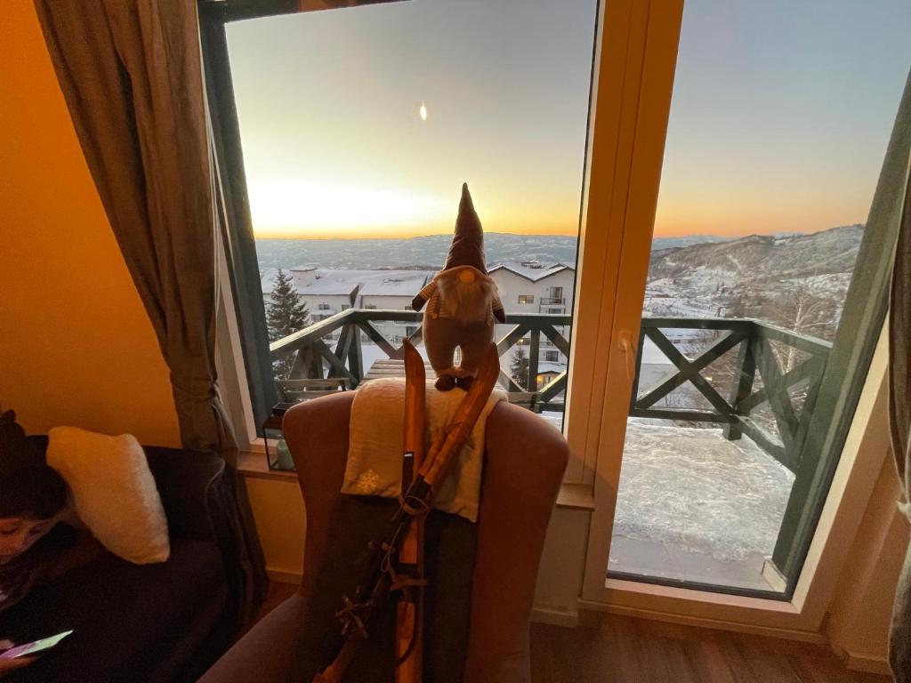 a dog wearing a hat sitting on a persons lap looking out a window at Pano Kopaonik Panorama in Kopaonik