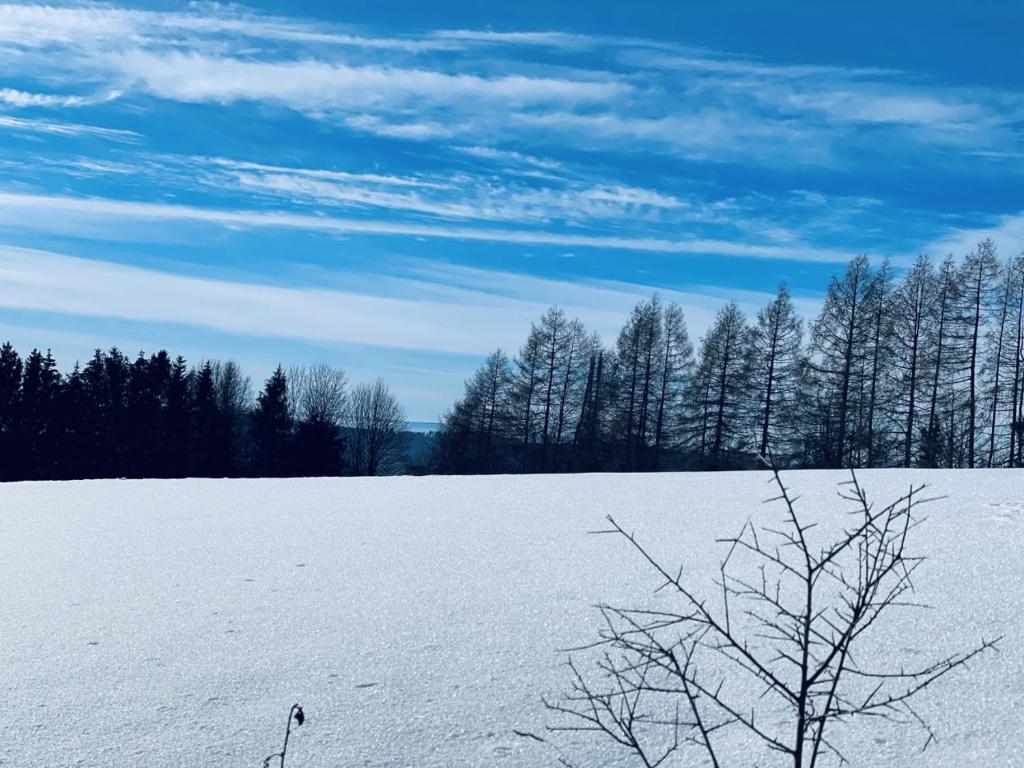 Bergstadthütte Harz v zimě