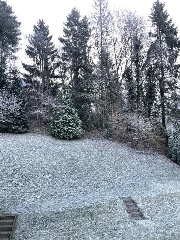 Bergstadthütte Harz v zimě