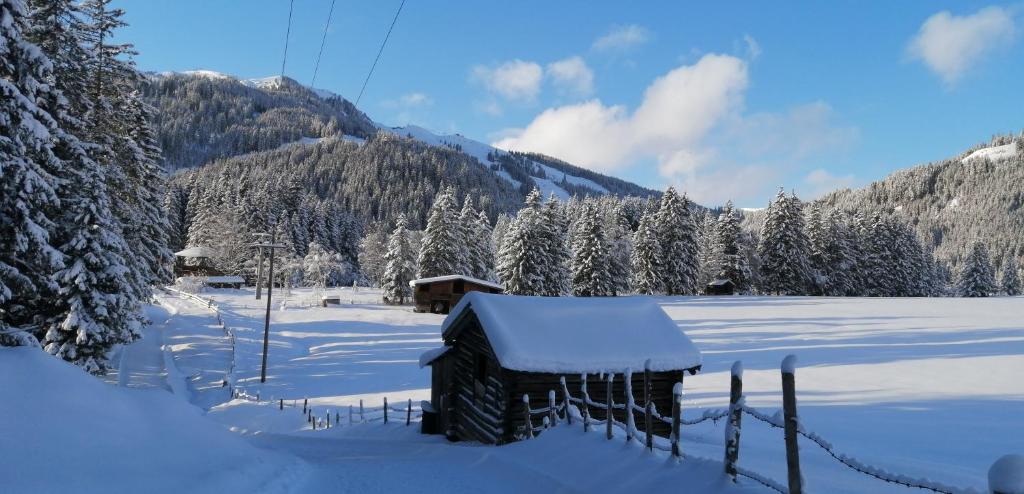 Haus Jessica incl National Park Sommercard v zime