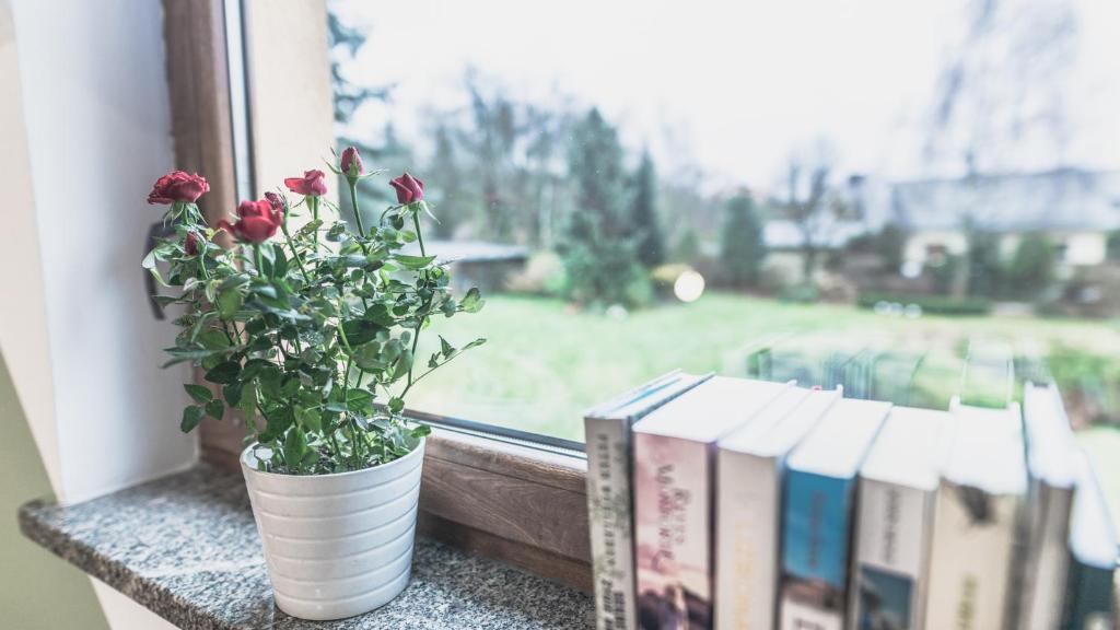 Przystanek Czarne - 5