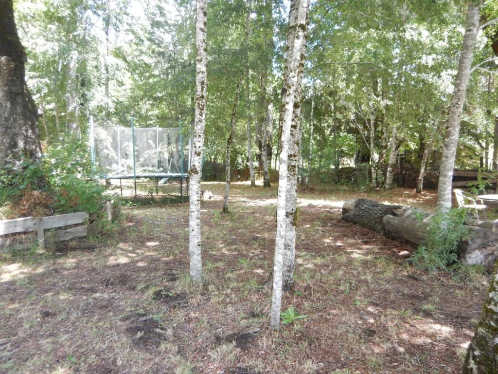 Entre Hualles y Pellines