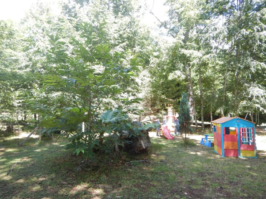 Entre Hualles y Pellines